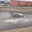 В краснодарском поселке сняли на видео картину “Газель” на водопое” - SochiStream.Ru