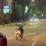 4 - SochiNews.io