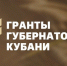 Некоммерческие организации Сочи могут стать обладателями губернаторских грантов - Администрация г. Сочи