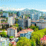 Сочи-Город-Недвижимость-07 - SochiNews.io