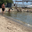 “Это свинство”: мужчина чистил рыбу на пляже в Ейске и пускал кишки в воду - SochiStream.Ru