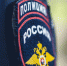 В Сочи полиция проводит проверку по факту нападения собак на женщину - SochiStream.Ru