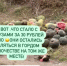 Арбузы, которые все лето кубанские фермеры продавали вдоль трасс, лежат и гниют - SochiStream.Ru