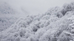 Фото: vk.com/sochi_transport_i_dorogi