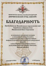 Председателя Молодежного парламента при Городском Собрании Сочи Нану Михайлову благодарят воинские части за регулярную помощь фронту