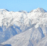 Фото: Sochi.ru - Sochi.Com