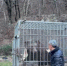 Фото: t.me/sochigeograf - Sochi.Com