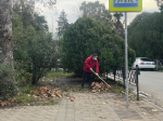 В Сочи прошел общегородской предновогодний субботник