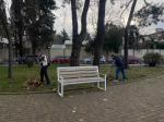 В Сочи прошел общегородской предновогодний субботник