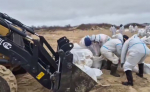 В Крыму и Краснодарском крае собрали более 86 тонн загрязненного грунта