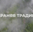 Сохраняя традиции: Сочинский нацпарк представил фильм о природных достопримечательностях - Sochi.Com