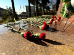 В Сочи стартовала патриотическая акция «Снежный десант»