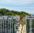 Сочи стал новым трендом для москвичей - Sochi.Com