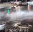 Еще один вонючий фонтан забил в Краснодаре - SochiStream.Ru