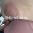 В Краснодаре пес по кличке Сириус набросился на даму с собачкой и укусил - SochiStream.Ru