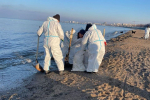 В Анапе зафиксировали повторные выбросы мазута 8 февраля