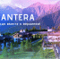 MANTERA: 4 ГОДА УСПЕХА И ПАРТНЕРСТВА! - СГУ