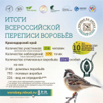 Перепись воробьев 2025: новые рекорды!