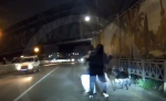 В Сочи стая бродячих собак напала на двух подростков
