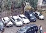 В Сочи две девушки бросили на улице собаку-инвалида, оставив её на верную гибель