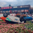 4 - SochiNews.io