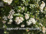 Важная информация!