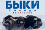 В Сочи стартовал 15-й международный фестиваль зеленого документального кино ECOCUP'25