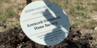 В Сочи ко Дню России космонавты высадили памятную магнолию - Sochi.Com