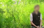 В Краснодаре подростка заставили извиняться на коленях и угрожали зарезать