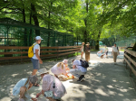День переднеазиатского леопарда отметили в Кавказском заповеднике