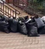Пропавшая в Краснодаре квартирантка оставила после себя мёртвую кошку