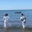 В Анапе водолазы подняли со дна моря 266 мешков с мазутом - SochiStream.Ru
