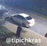 Парикмахер, уничтоживший деревья в Краснодаре, тайно покинул арендованный подвал - SochiStream.Ru
