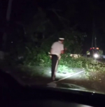 На перевале в Лоо упало дерево: движение парализовано, водители стоят в пробках