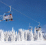 Фото: freepik.com - Sochi.Com