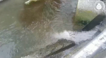 В Водоканале Сочи прокомментировали ситуацию с вытеканиями в реку