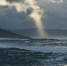 Фото: freepik.com - Sochi.Com