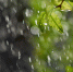 Фото: freepik.com - Sochi.Com