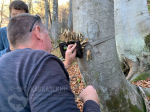 В России стартовал проект по созданию первой национальной сети фотомониторинга дикой природы на заповедных территориях
