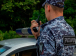 Росгвардия Полиция МВД Происшествия