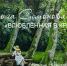 ПЕРСОНАЛЬНАЯ ВЫСТАВКА ЖИВОПИСИ ОЛЬГИ СИМОНОВОЙ «ВЛЮБЛЁННАЯ В КРАСОТУ» - Управление культуры