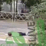 В Краснодаре школьник лежал прямо на дороге и попал на видео - SochiStream.Ru