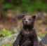 Фото: freepik.com - Sochi.Com