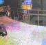 В Сочи медведь пришел к отделу полиции - SochiStream.Ru