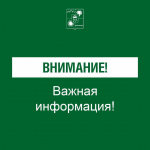 Мэр Сочи Прошунин сообщил об отмене режима угрозы атаки беспилотников