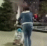 В Новороссийске сняли на видео нетрезвую женщину с детской коляской на улице - SochiStream.Ru