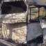В Сочи неизвестный заживо сжег двух собак - SochiStream.Ru