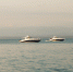 Фото: freepik.com - Sochi.Com