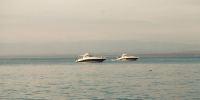 Фото: freepik.com - Sochi.Com