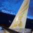 Самолет Gulf Air - SochiNews.io